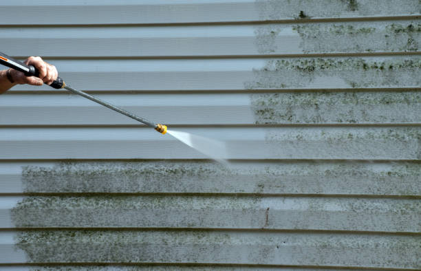 Best Local Pressure Washing Services  in Bessemer, MI