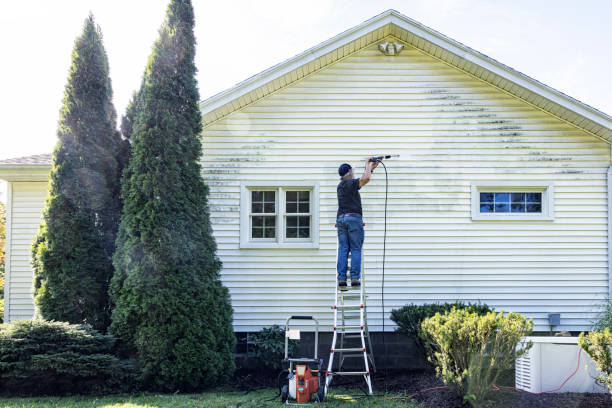 Best Exterior Home Cleaning  in Bessemer, MI